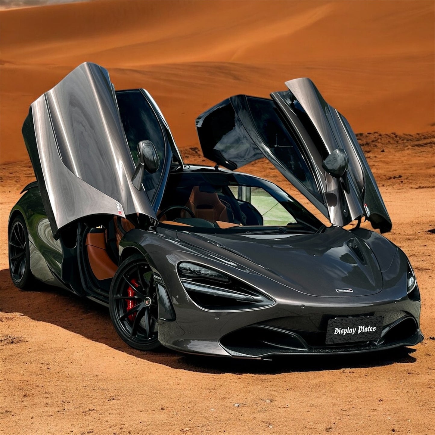 Business Logo Plates